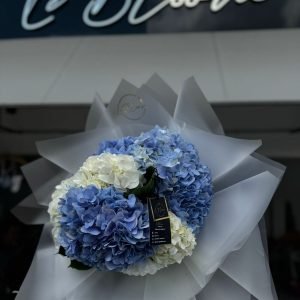 Ramo Hortensia Mágica