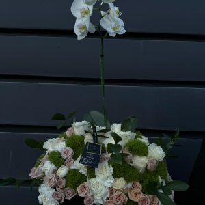 JARDIN DE ORQUIDEAS - CAJA DE MADERA