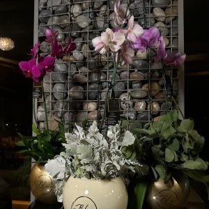 Orquídea Maceta de Cristal
